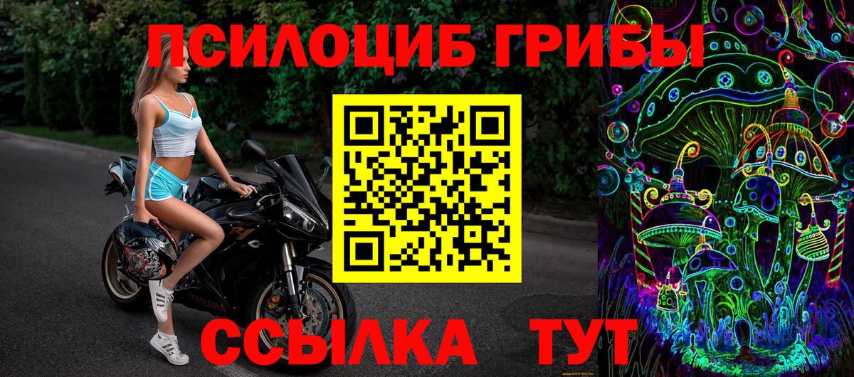 Галлюциногенные грибы Cubensis Старая Купавна